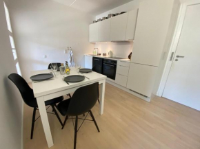 Central Apartment In Copenhagen With Free Parking Garage And Balcony